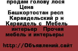 продам голову лося › Цена ­ 35 000 - Башкортостан респ., Караидельский р-н, Караидель с. Мебель, интерьер » Прочая мебель и интерьеры   